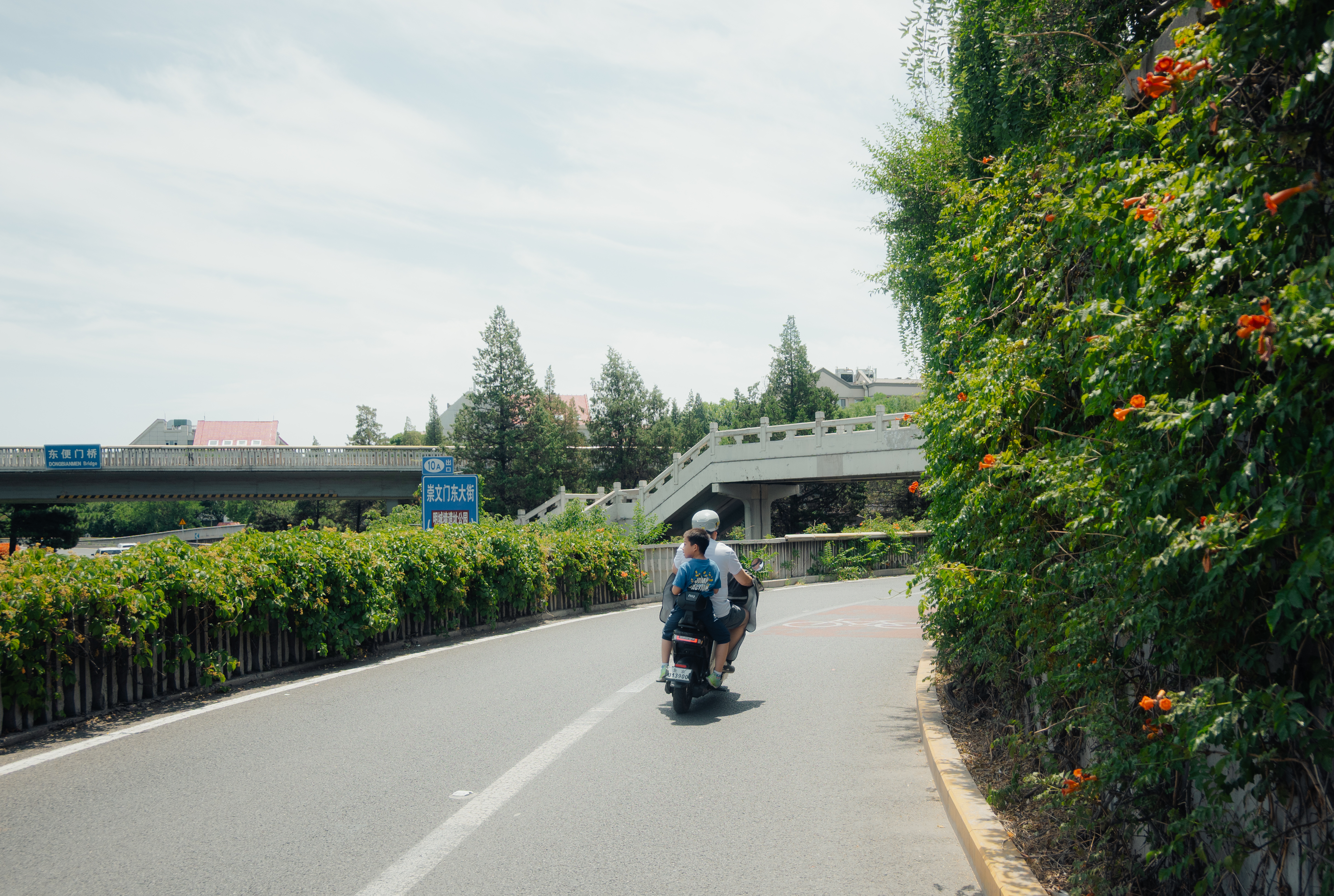 2025-我的一些摄影